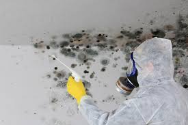 Best Biohazard Mold Removal  in Licking, MO